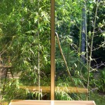 Bamboo and Bench