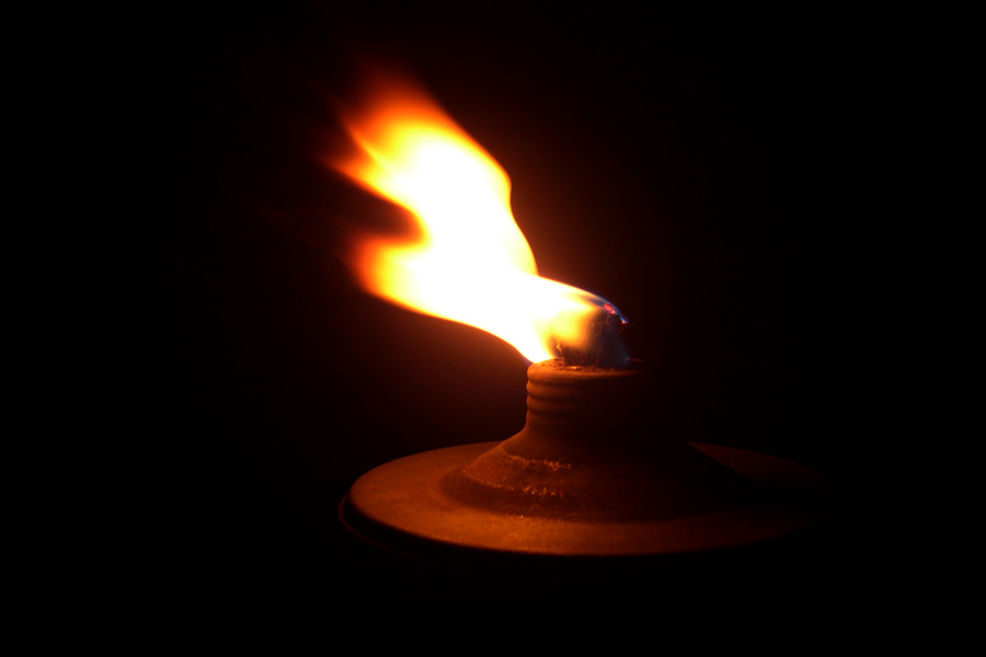 The Torch The Torch