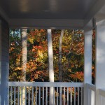 Front Porch and Tree Canopy
