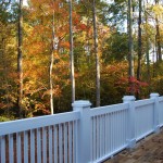 East Porch and Tree Canopy