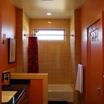 Hall / Guest Bath