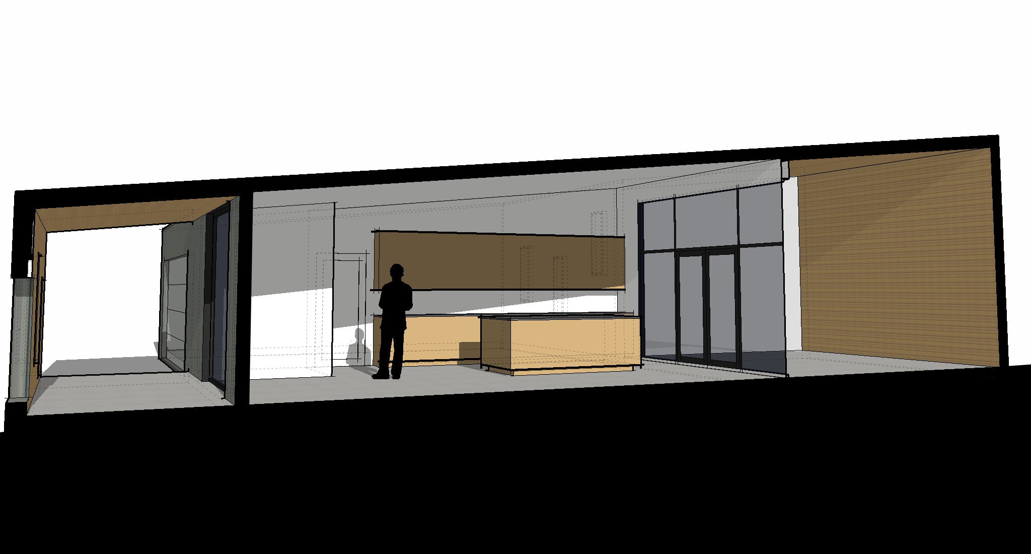 Modern Shed House - Building Section