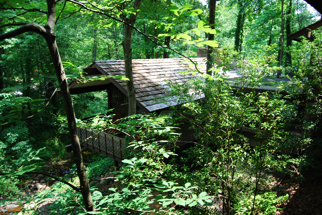 Andrews Family Tree House - Exterior