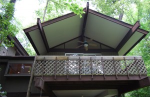 Tree House Renovation