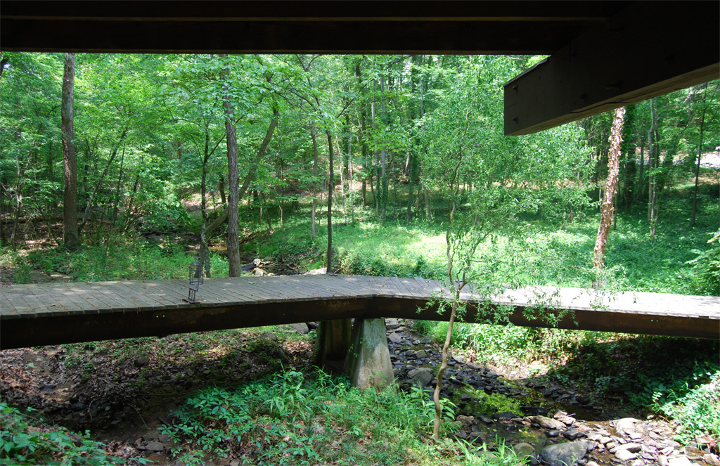 Andrews Family Tree House - Outdoor Bridge
