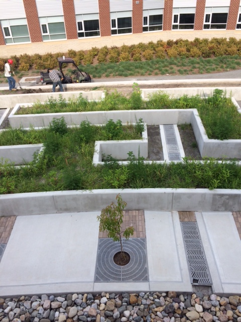 An edible garden outside the culinary arts classrooms