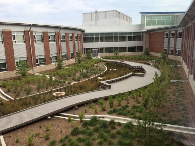 Stormwater management is incorporated into courtyard garden