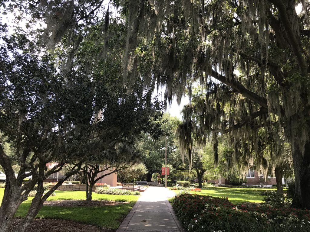 Spanish Moss at Florida Southern College "Vines"